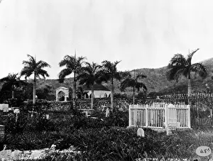 Barbados: The Cemetary at St. Thomas, West Indies (1873)