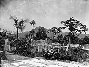 Barbados: Cemetary, St. Thomas, West Indies (1873)