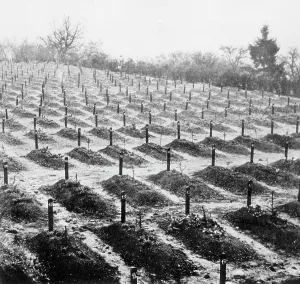 Euthanasia: Cemetery at Hadamar where victims of euthanasia killing were