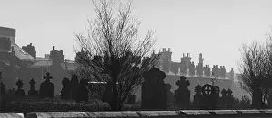 Silhouetted: Cemetery and housing