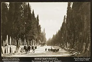 Markers: Cemetery at Scutari, Constantinople