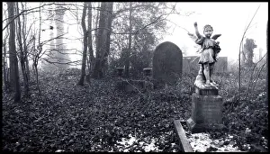 Cemetry: Cemetry with stone cherub or angel