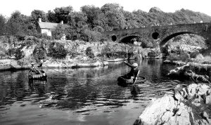 C1960: Cenarth, Coracle Fishing c1960