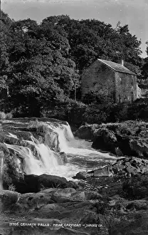 Carmarthenshire: Cenarth Falls