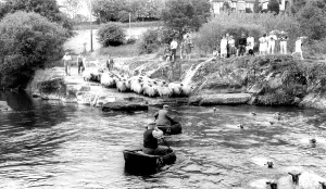 C1960: Cenarth, Sheep Dipping c1960