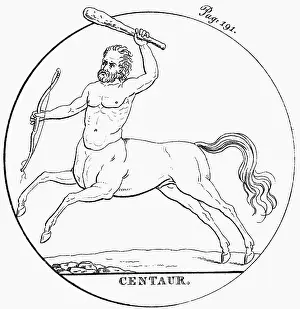 Cudgel: centaur, Greek mythical creature, engraving