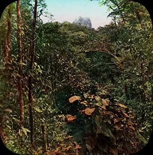Amerindian: Central America - Gold Mining - Lantern Slide series