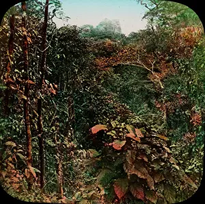 Amerindian: Central America - Gold Mining - Lantern Slide series