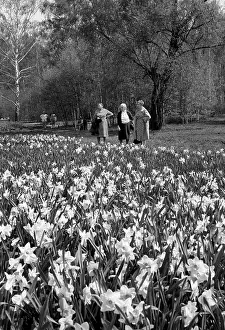 Central Botanical Garden of Russian Academy of