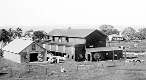 Grenadines: Central cotton Ginnery in St Vincent early 1900s