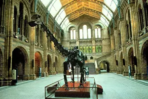 Sauropoda: The Central Hall of the Waterhouse Building