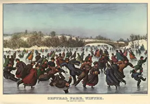 Jostle: Central Park