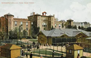 Zoos: Central Park, New York