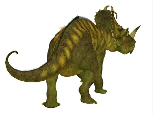 Apertus: Centrosaurus dinosaur, rear view