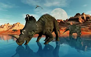 Apertus: Centrosaurus dinosaurs grazing at a watering place