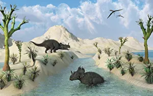 Apertus: Centrosaurus dinosaurs relaxing in a Cretaceous landscape