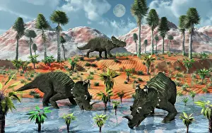 Apertus: Centrosaurus dinosaurs at a watering place