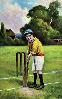 Stumps: The Century Maker - a young cricketer at the crease