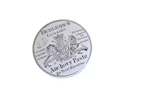 Spreads: Ceramic anchovy paste pot lid