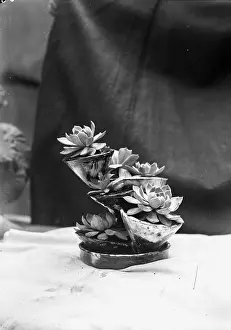 Craftwork: Ceramic cacti