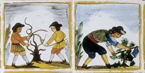 Viniculture: Ceramic floor tiles depicting the production
