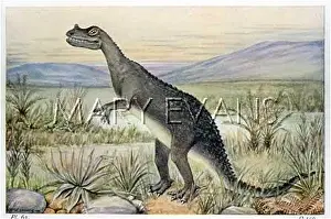 Sufficiently: CERATOSAURUS