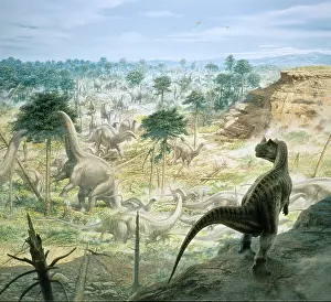 Sauropoda: Ceratosaurus & Apatosaurus