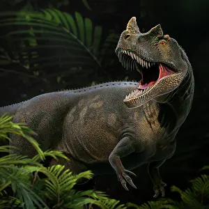 Menacing: Ceratosaurus was a carnivorous theropod dinosaur