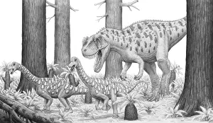 Ceratosaurus: A Ceratosaurus chasing young Apatosaurus dinosaurs