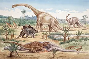 Sauropoda: Ceratosaurus, Coelurosaur, Camptosaurus, Stegosaurus, Brachio