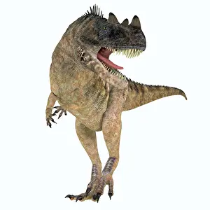 Ceratosaurus: Ceratosaurus dinosaur growling, front view on