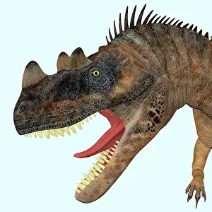 Spiked: Ceratosaurus dinosaur head