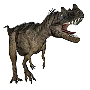 Ceratosaurus: Ceratosaurus dinosaur roaring