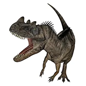 Ceratosaurus: Ceratosaurus dinosaur roaring