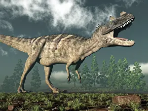 Ceratosaurus: Ceratosaurus dinosaur roaring