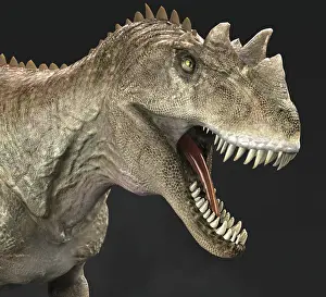 Spiked: Ceratosaurus dinosaur roaring, close-up