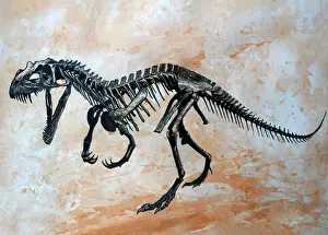 Textured: Ceratosaurus dinosaur skeleton