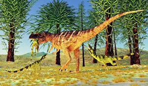 Hungry: A Ceratosaurus dinosaurs captures a small Juravenator