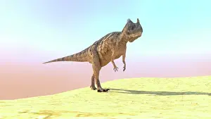 Allosauroid: Ceratosaurus hunting in a barren desert