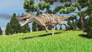 Allosauroid: Ceratosaurus hunting for its next meal