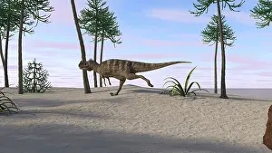 Allosauroid: Ceratosaurus hunting for its next meal