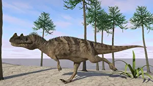 Ceratosaurus: Ceratosaurus hunting for its next meal