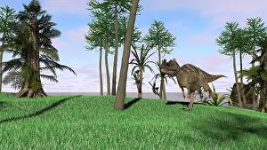 Ceratosaurus: Ceratosaurus hunting for its next meal