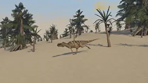 Ceratosaurus: Ceratosaurus hunting for its next meal