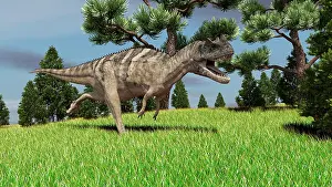 Ceratosaurus: Ceratosaurus hunting for its next meal