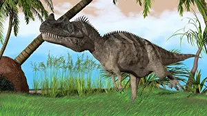Ceratosaurus: Ceratosaurus hunting in a prehistoric environment