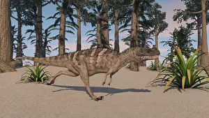 Ceratosaurus: Ceratosaurus hunting in a prehistoric environment