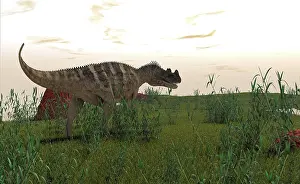 Allosauroid: Ceratosaurus hunting in prehistoric grasslands