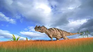 Ceratosaurus: Ceratosaurus hunting in prehistoric grasslands