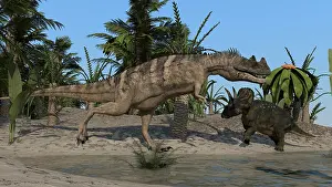 Ceratosaurus: Ceratosaurus hunting down a Triceratops